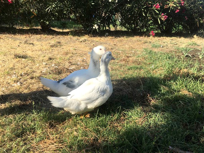 Bubbles & Domes (Malaga, Andalusia, Spain)