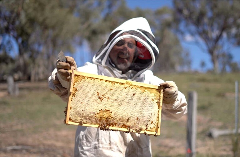 Tiny Houses (Australia, Windeyer, New South Wales)