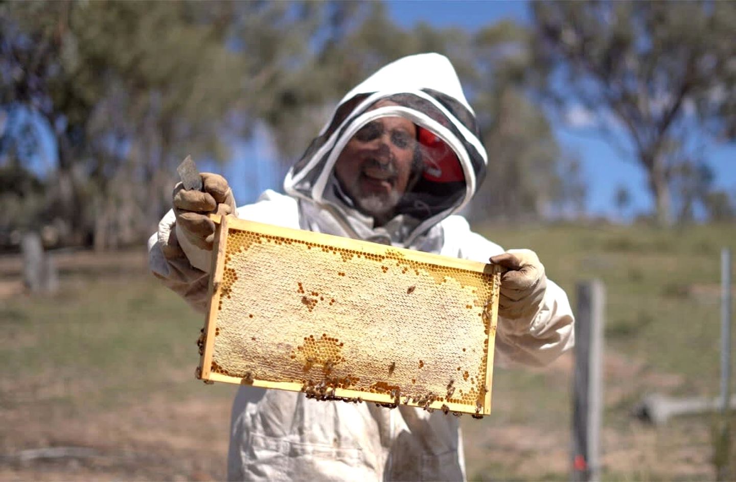 Classy Tiny House on an Alpaca Farm in Windeyer Ideal for Luxury Glamping, NSW