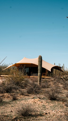 Safari Tents (United States of America, Marana, Arizona)