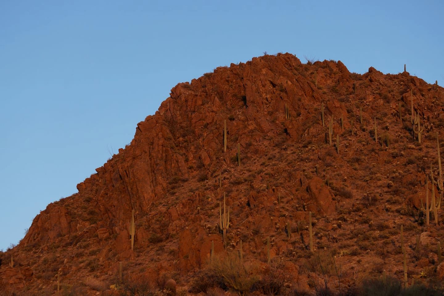 Luxury Glamping Retreat with Private Desert Trails near Saguaro National Park, Tucson Arizona