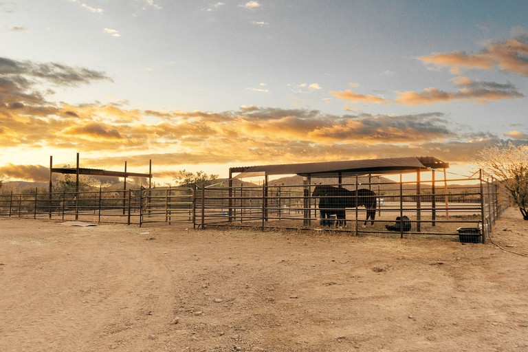 Safari Tents (United States of America, Marana, Arizona)