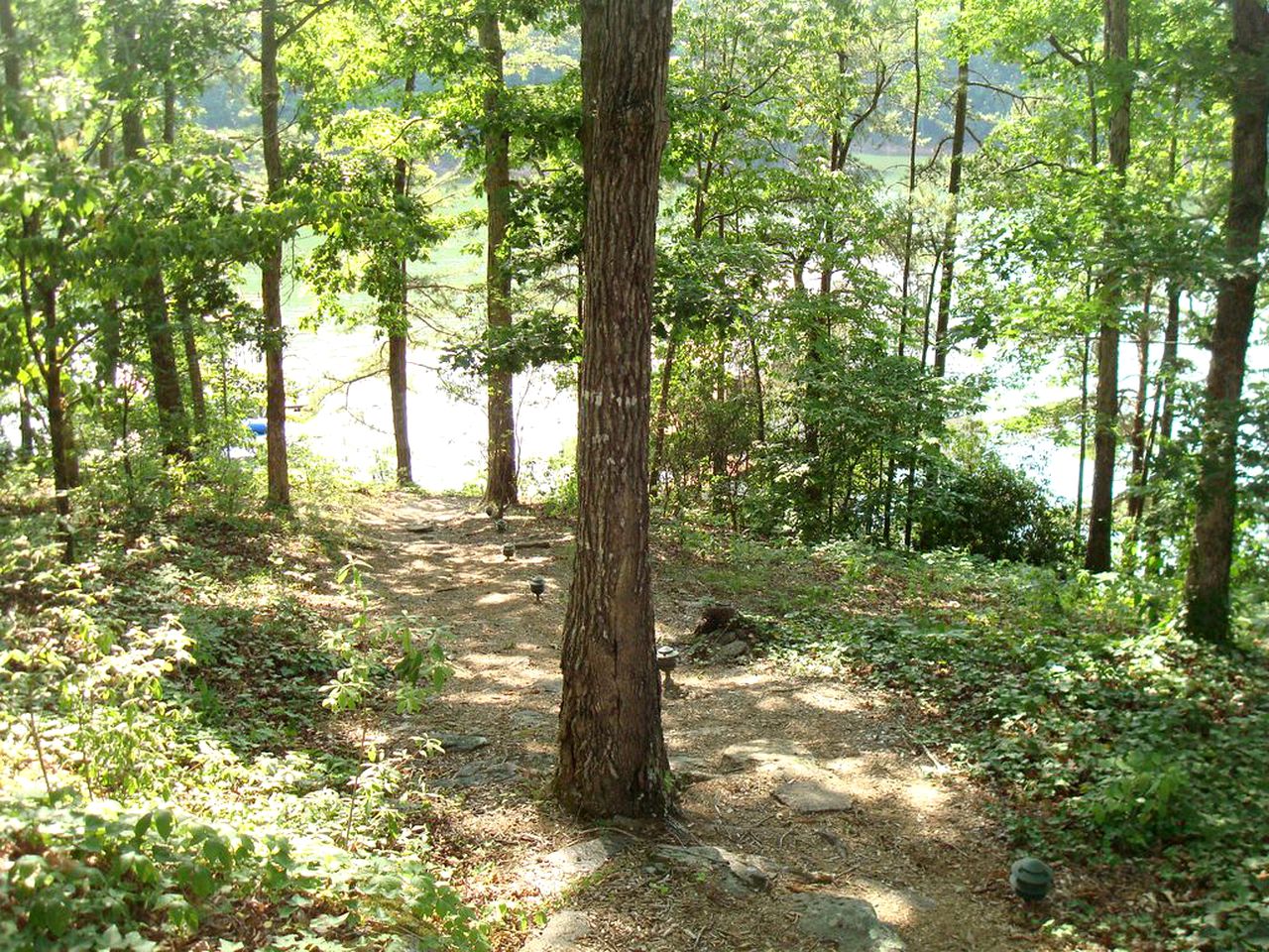 Charming Cottage Rental on the Shores of Lake Lanier in Gainesville, Georgia