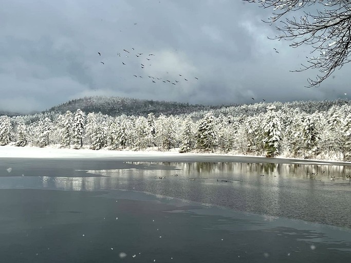 Cabins (United States of America, Conway, New Hampshire)
