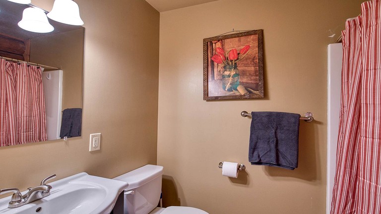 Cabins (United States of America, Sylva, North Carolina)