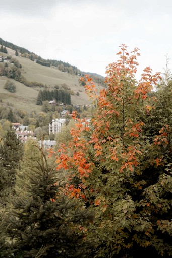 Vacation Rentals (France, Megève, Auvergne-Rhône-Alpes)