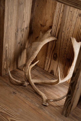 Vacation Rentals (France, Megève, Auvergne-Rhône-Alpes)