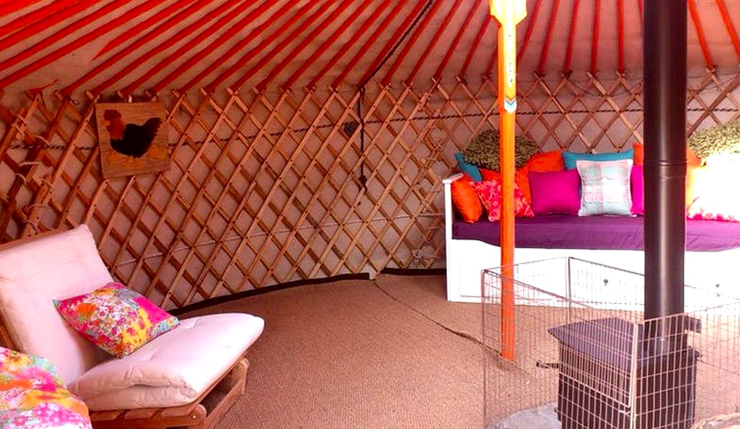 Luxury Mongolian Yurt Camping near Bridgend, South Wales