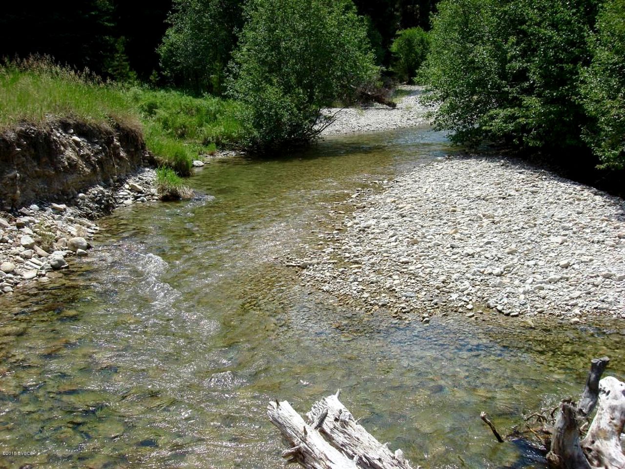 Creekside Cabin Rental in Mountains near Bitterroot Valley, Montana