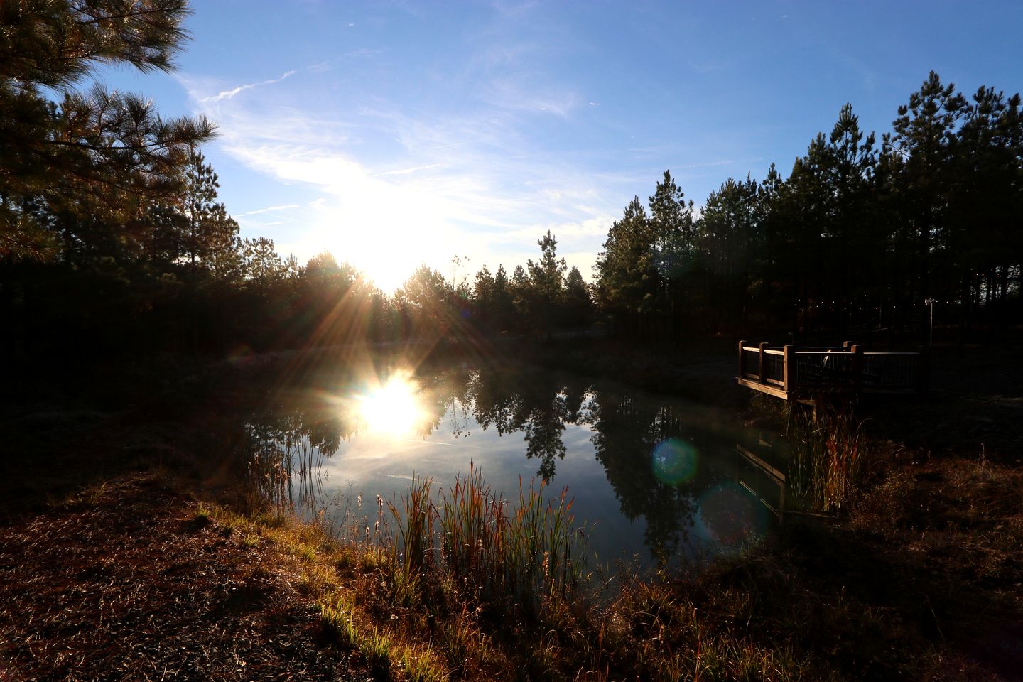 Beautiful Cabin with Hot-tub and Great Forest Sights in Hochatow, Oklahoma