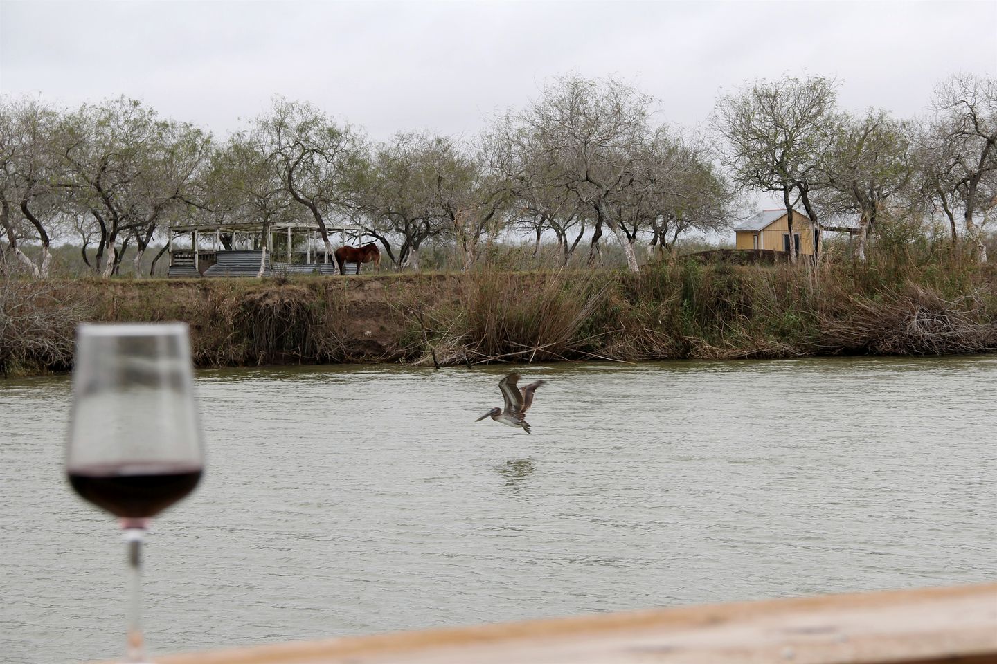 Safari Tent Glamping Minutes from SpaceX Launches in Brownsville, TX