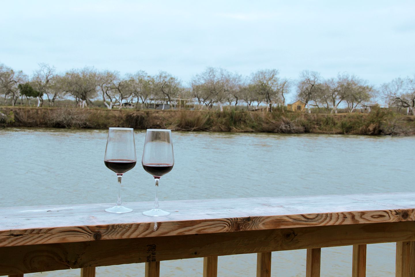 Safari Tent Glamping Minutes from SpaceX Launches in Brownsville, TX