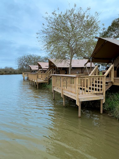 Safari Tents (United States of America, Brownsville, Texas)