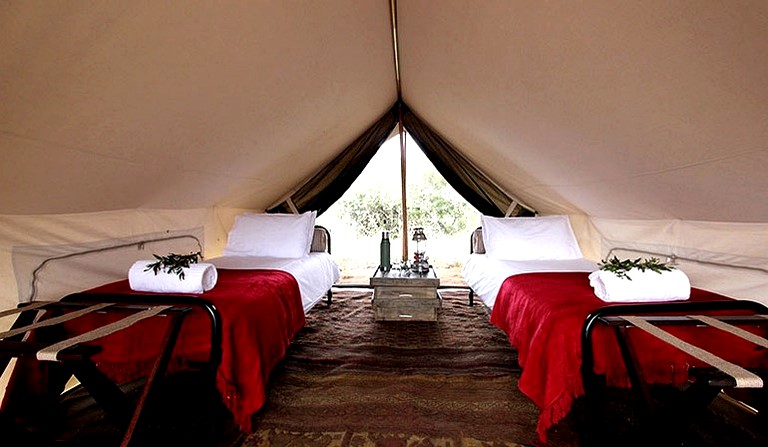 Safari Tents (Timbavati, Mpumalanga, South Africa)