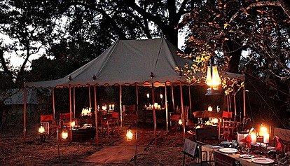 Luxury Safari Tents and Excursions within Timbavati Private Nature Reserve photo 4