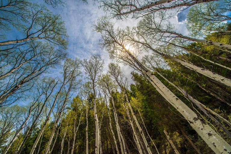 Safari Tents (De Beque, Colorado, United States)