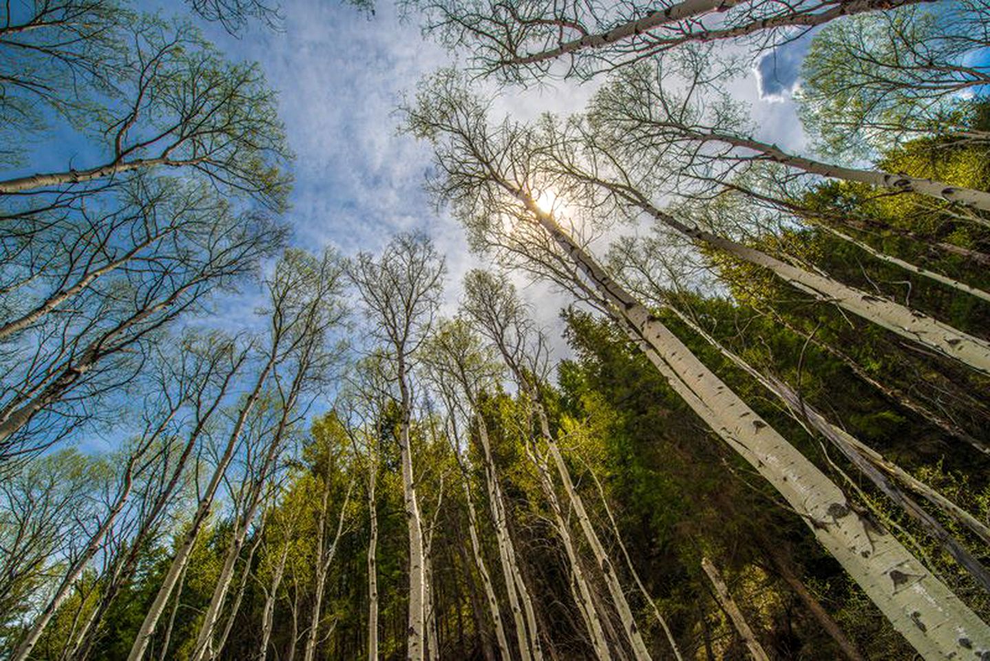 Luxury Safari Tents for Groups Only on Ranch near DeBeque, Colorado