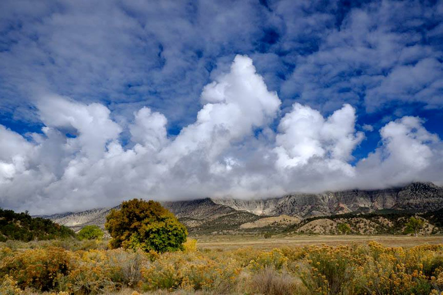 Luxury Safari Tents for Groups Only on Ranch near DeBeque, Colorado