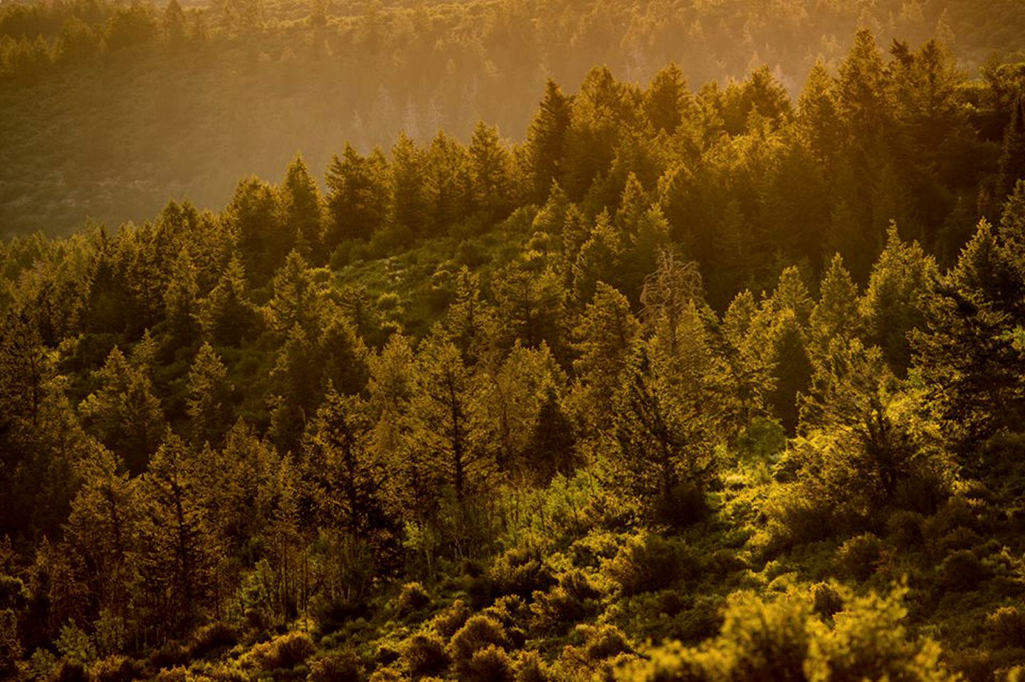 Luxury Safari Tents for Groups Only on Ranch near DeBeque, Colorado