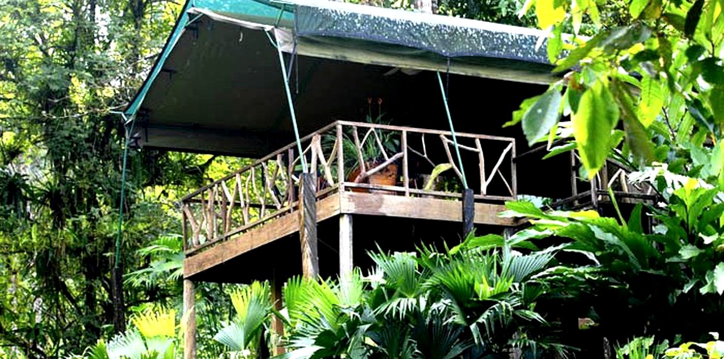 Luxury Safari Tents in Puntarenas, Costa Rica