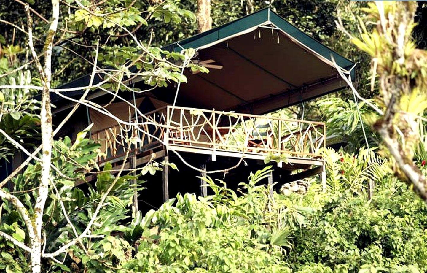 Luxury Safari Tents in Puntarenas, Costa Rica