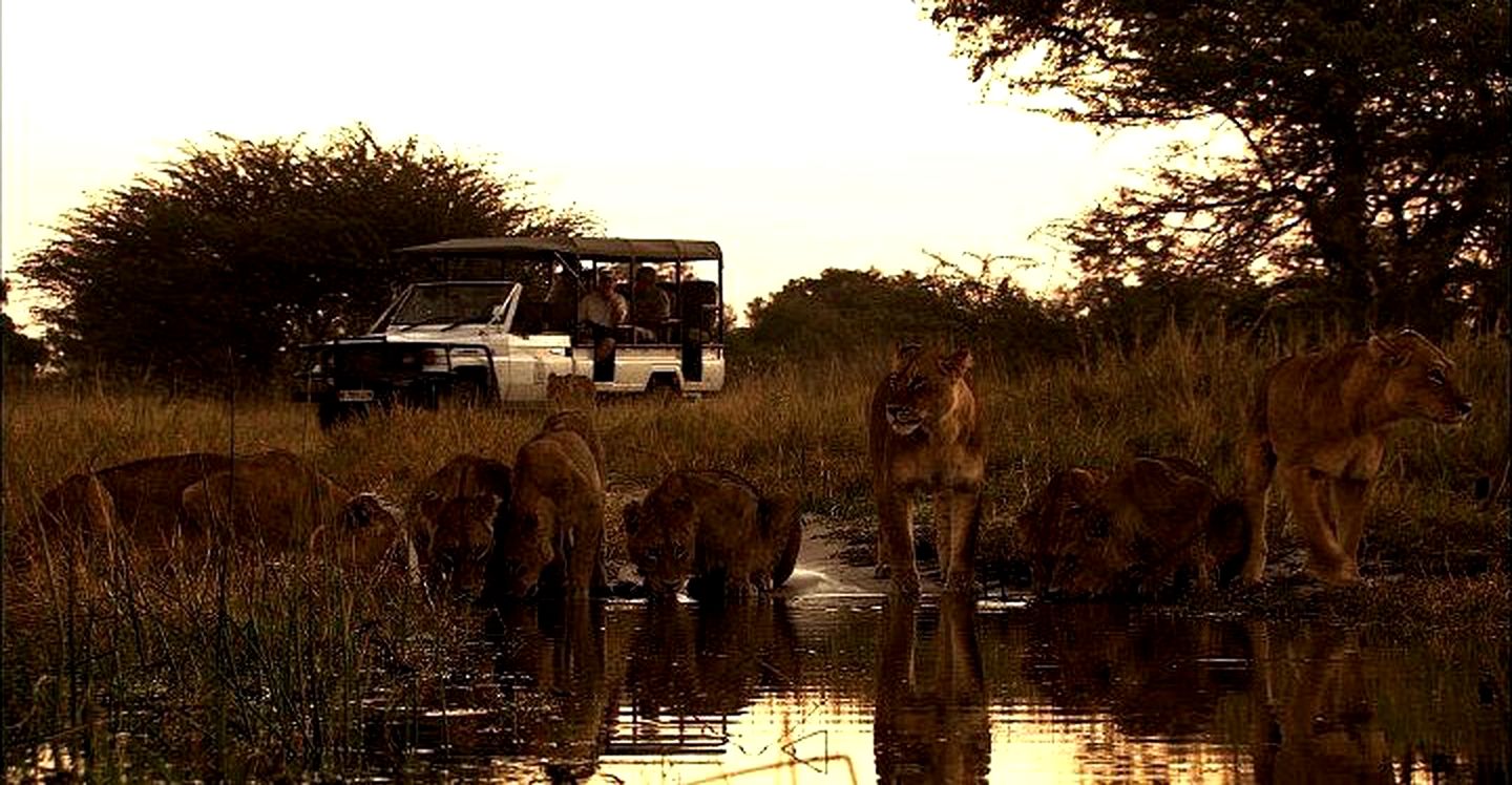 Luxury Safari Tents in the Xakanaxa Region of Botswana