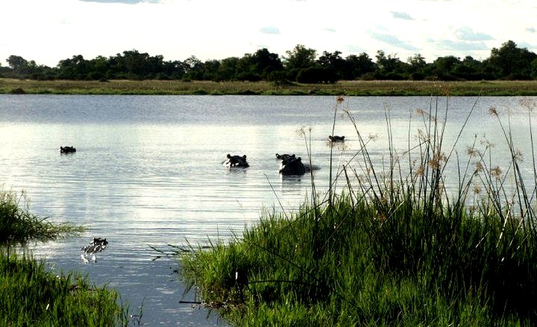 Safari Tents (Maun, Ngamiland District, Botswana)