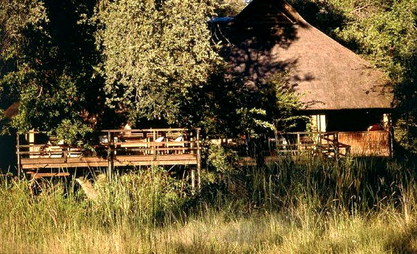 Luxury Safari Tents in the Xakanaxa Region of Botswana