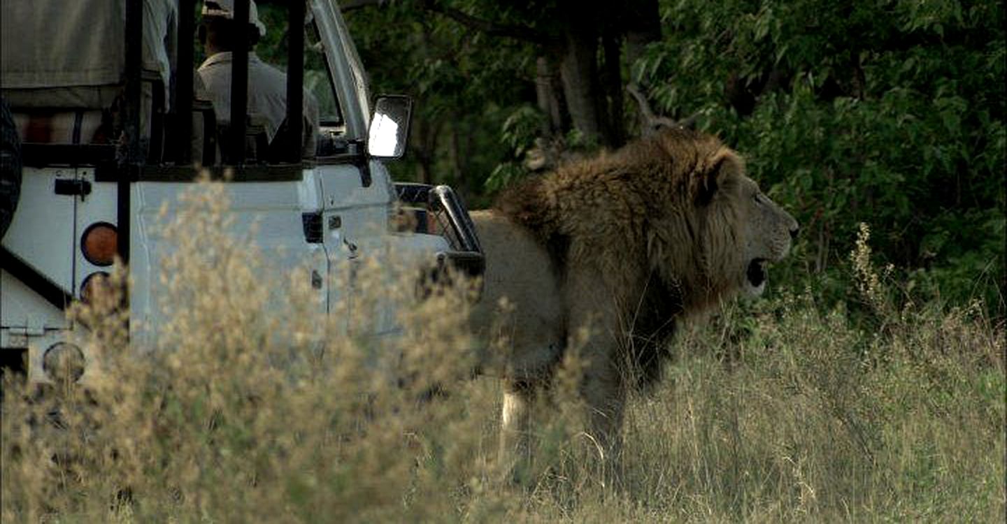 Luxury Safari Tents in the Xakanaxa Region of Botswana