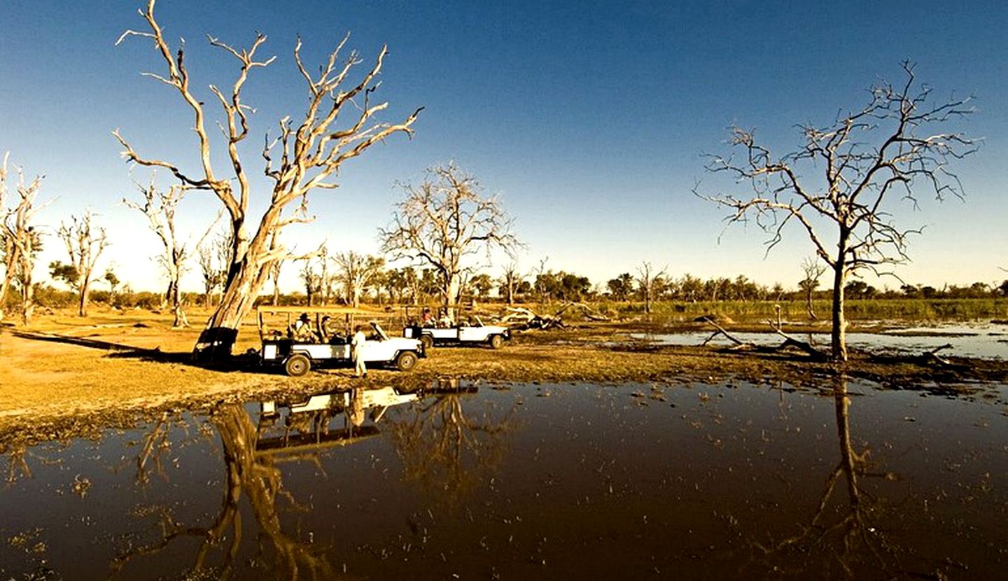 Luxury Safari Tents in the Xakanaxa Region of Botswana