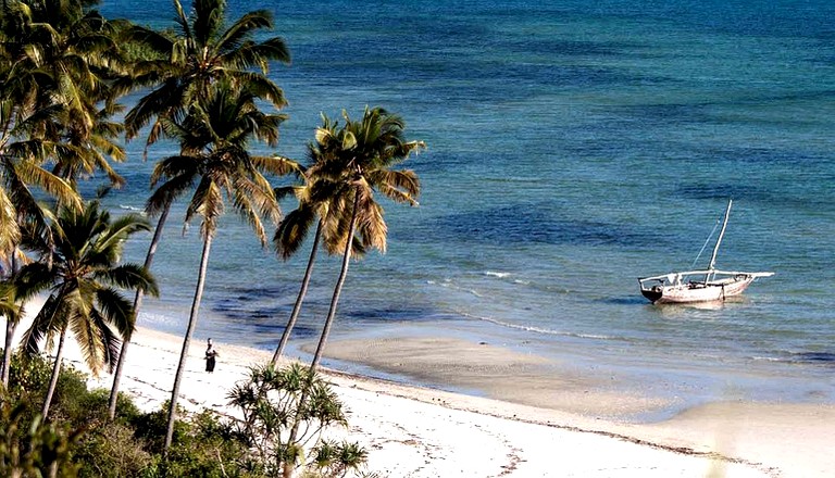 Huts (Finya, Pemba North Region, Tanzania)