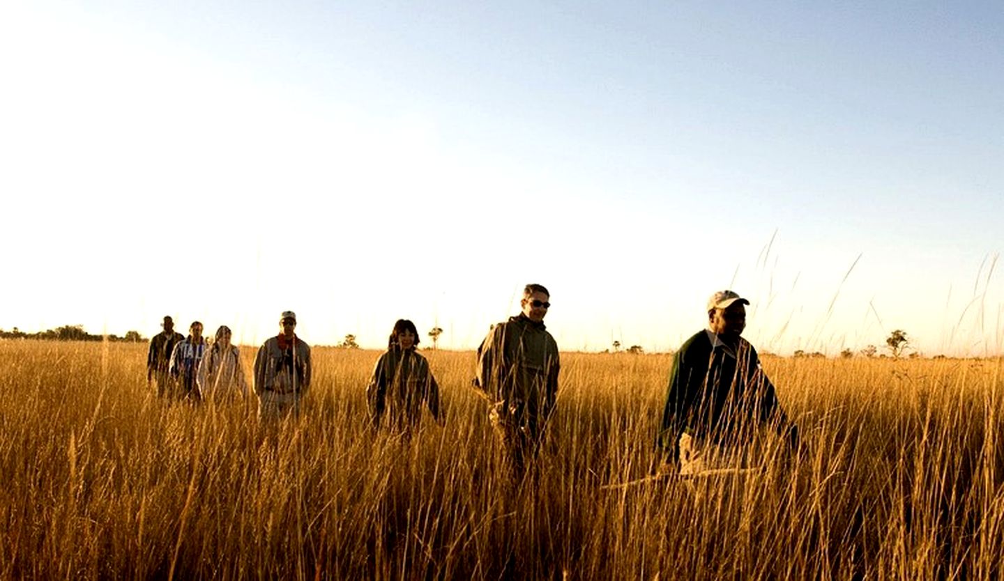 Luxury Safari Tents on Nxaragha Island in the Okavango Delta of Botswana