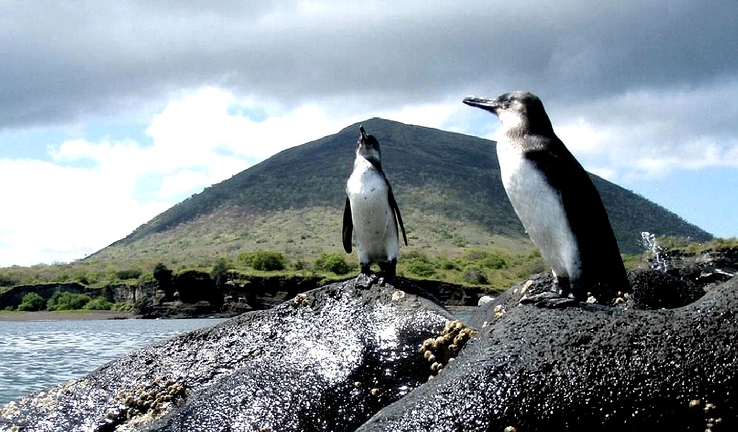 Luxury Safari Tents Tucked in Santa Cruz Island, Galapagos, Ecuador