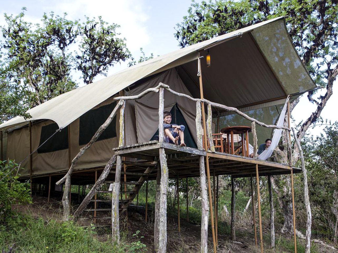 Luxury Safari Tents Tucked in Santa Cruz Island, Galapagos, Ecuador