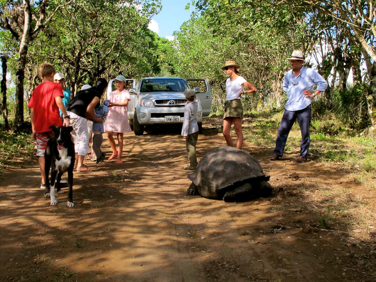 Luxury Safari Tents Tucked in Santa Cruz Island, Galapagos, Ecuador