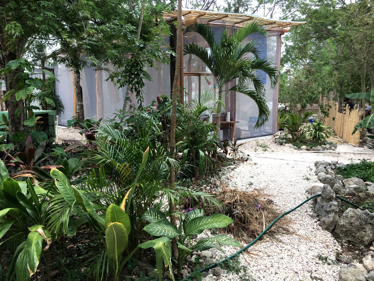 Nature Lodges (Tulum, Quintana Roo, Mexico)
