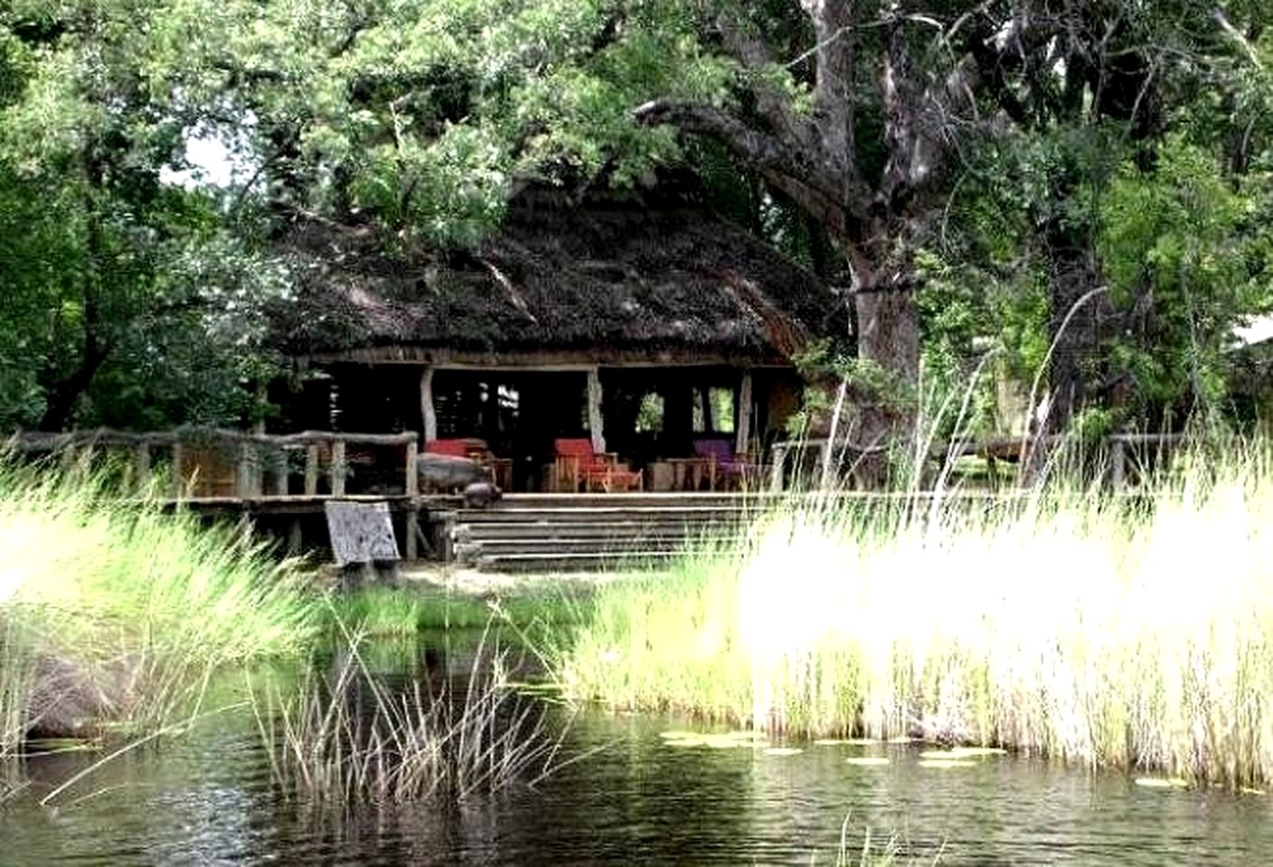 Luxury Tents in the Moremi Game Reserve of Botswana