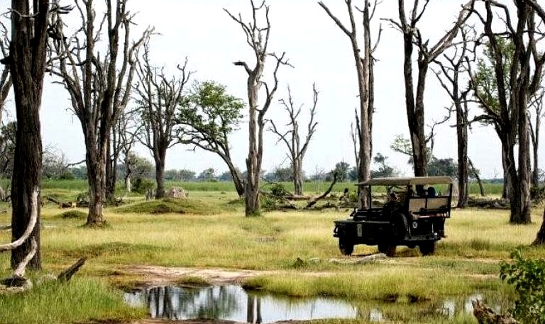 Safari Tents (Maun, Ngamiland District, Botswana)