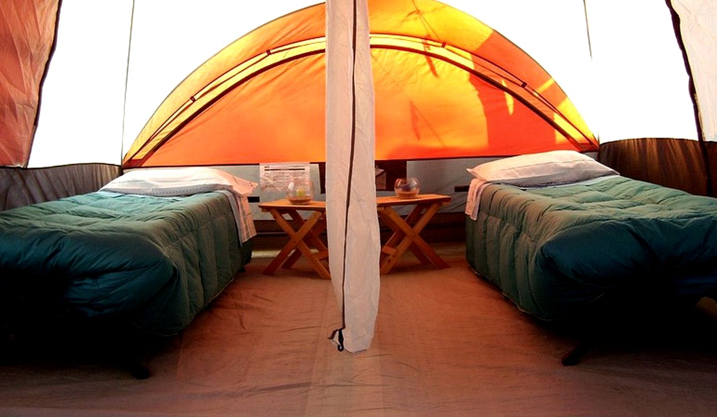 Luxury Tents in the National Park of Pampa del Tamarugal, Chile