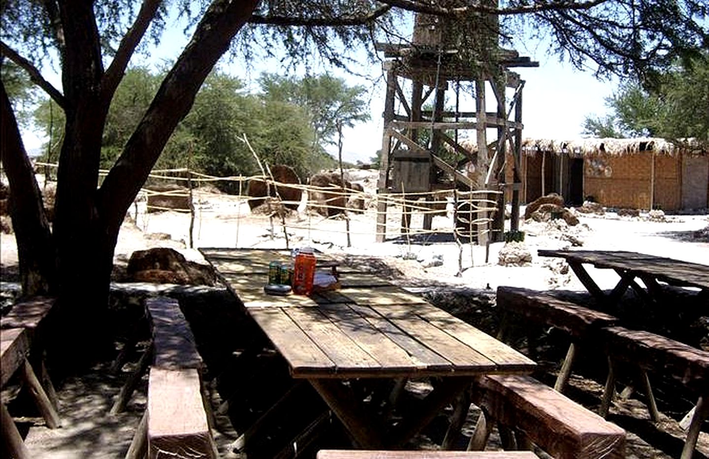 Luxury Tents in the National Park of Pampa del Tamarugal, Chile