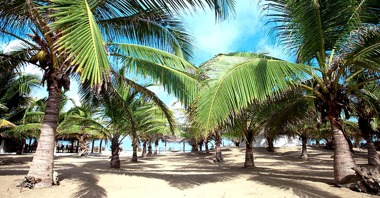 Luxury Tents on a Beach Paradise in Kalpitiya, Sri Lanka