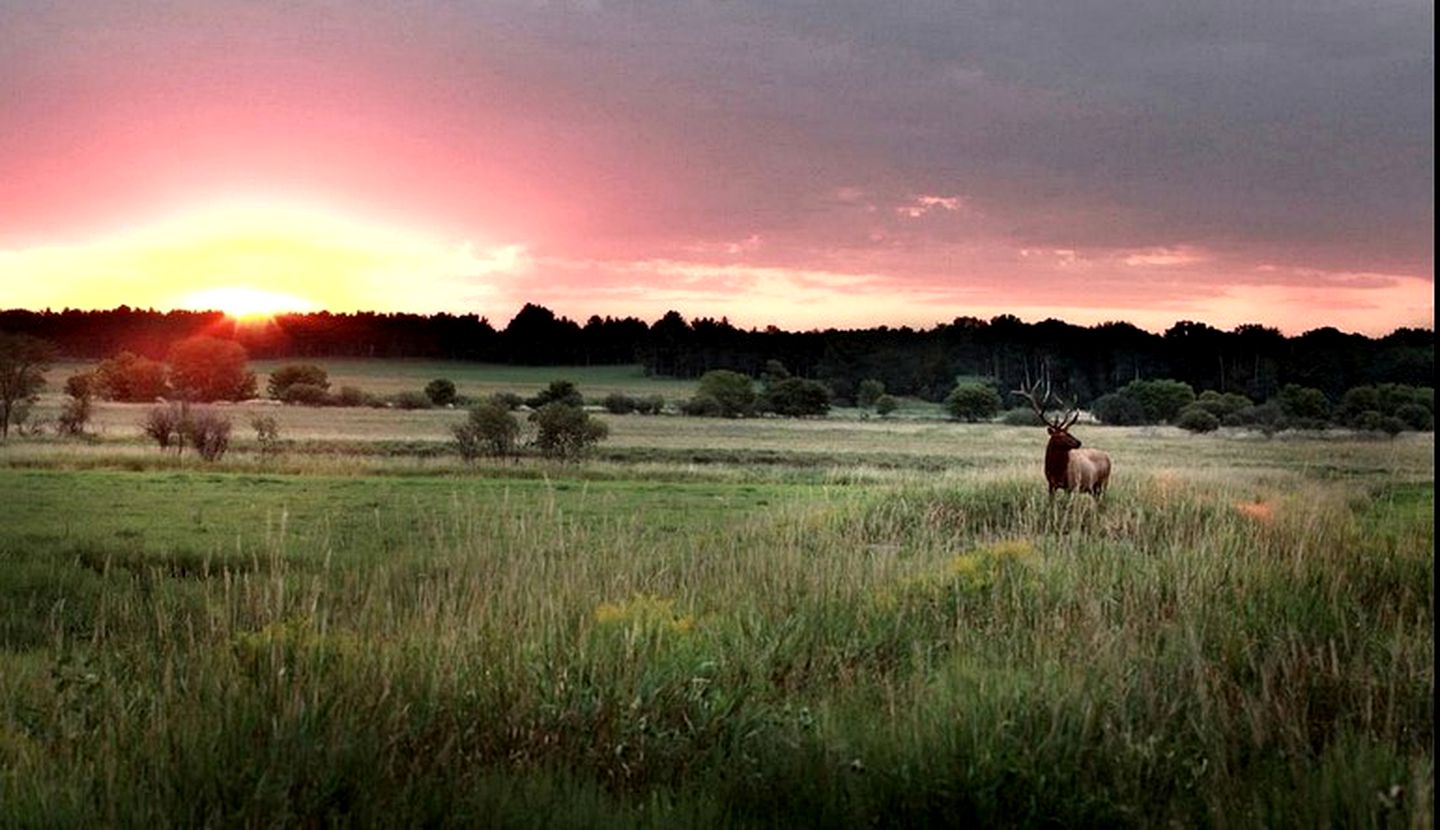 Luxury Tents Situated Within Nature Preserve in Central Wisconsin