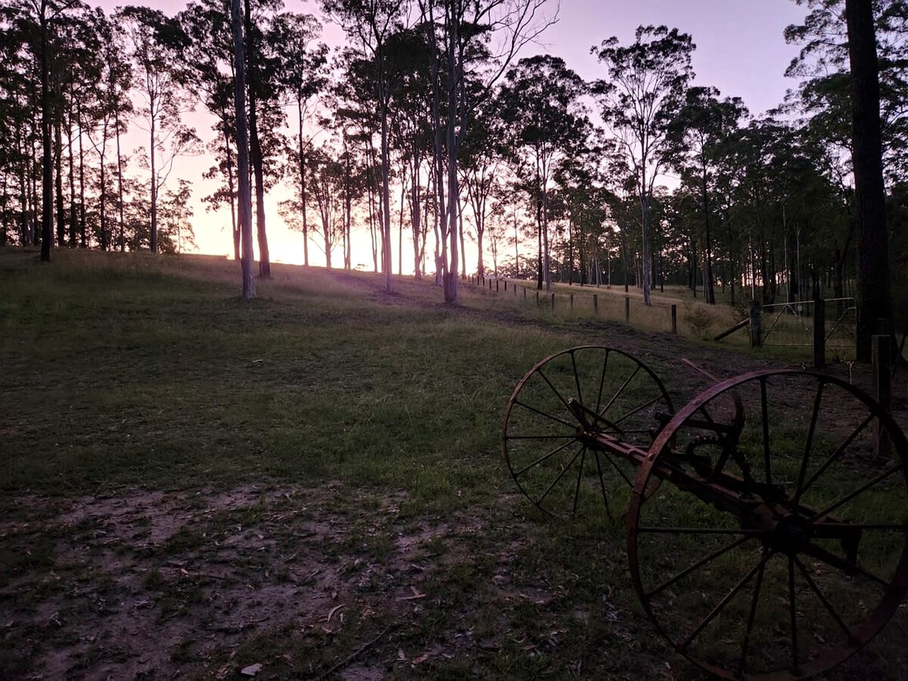 Luxury Tiny House with Firepit, Barbecue and Outdoor Bathtub in New South Wales, Australia
