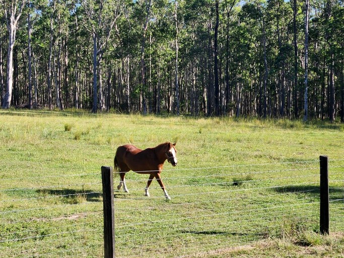 Tiny Houses (Australia, Girvan, New South Wales)
