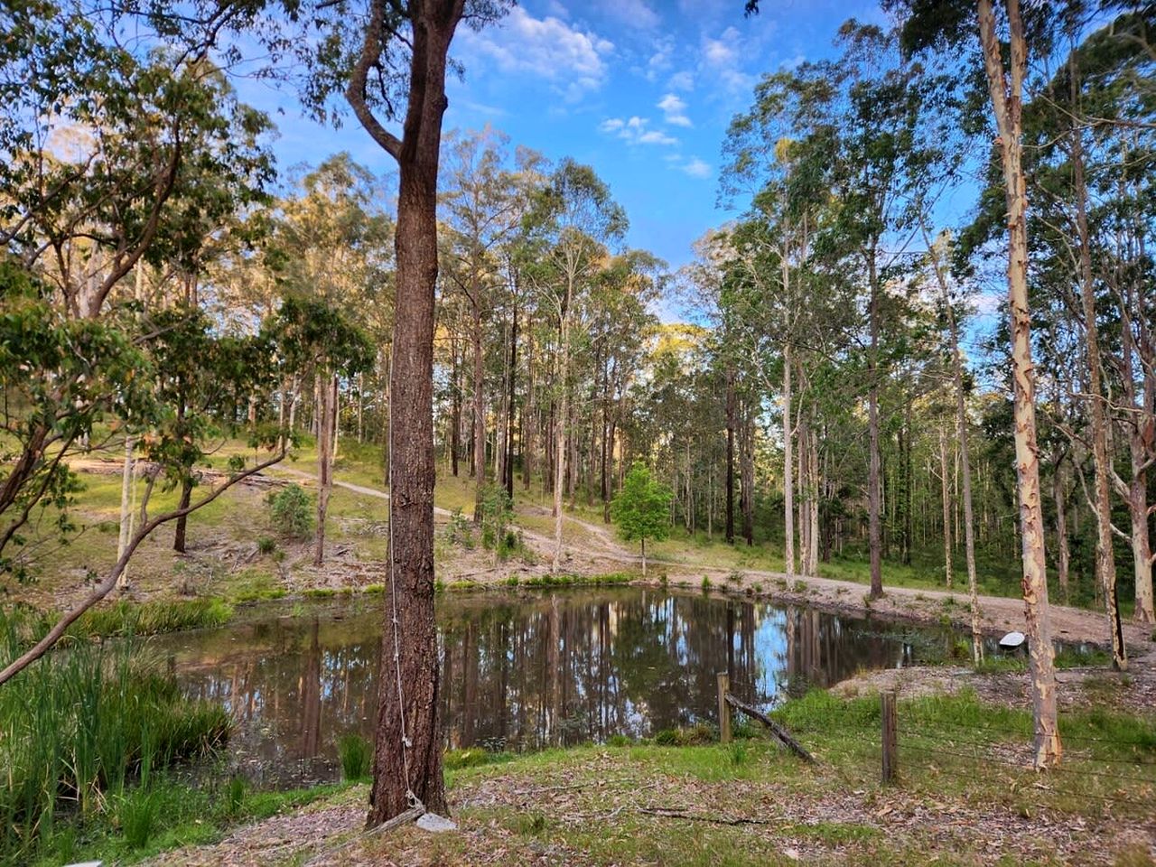 Luxury Tiny House with Firepit, Barbecue and Outdoor Bathtub in New South Wales, Australia