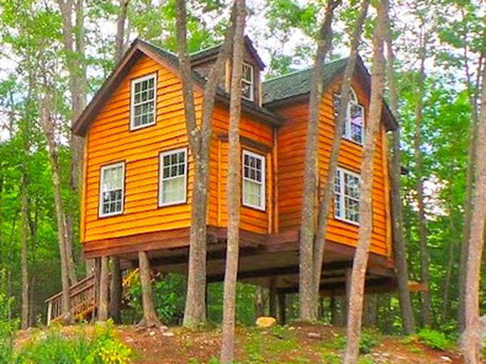 PetFriendly Tree House near White Mountain National Forest