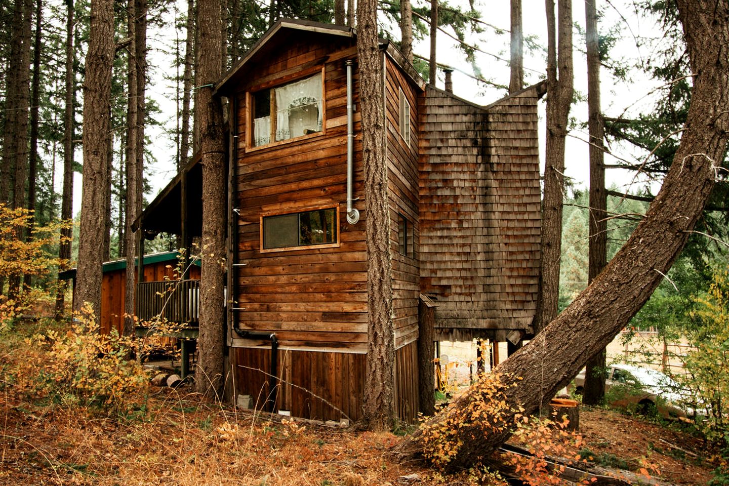 Tree House Style Cabin Nestled at the Foot of Scenic Snow-Capped Mt. Adams, Washington