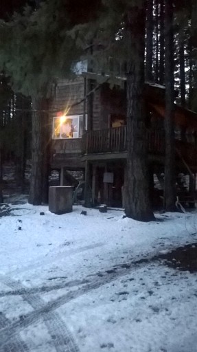 Tree Houses (United States of America, White Salmon, Washington)