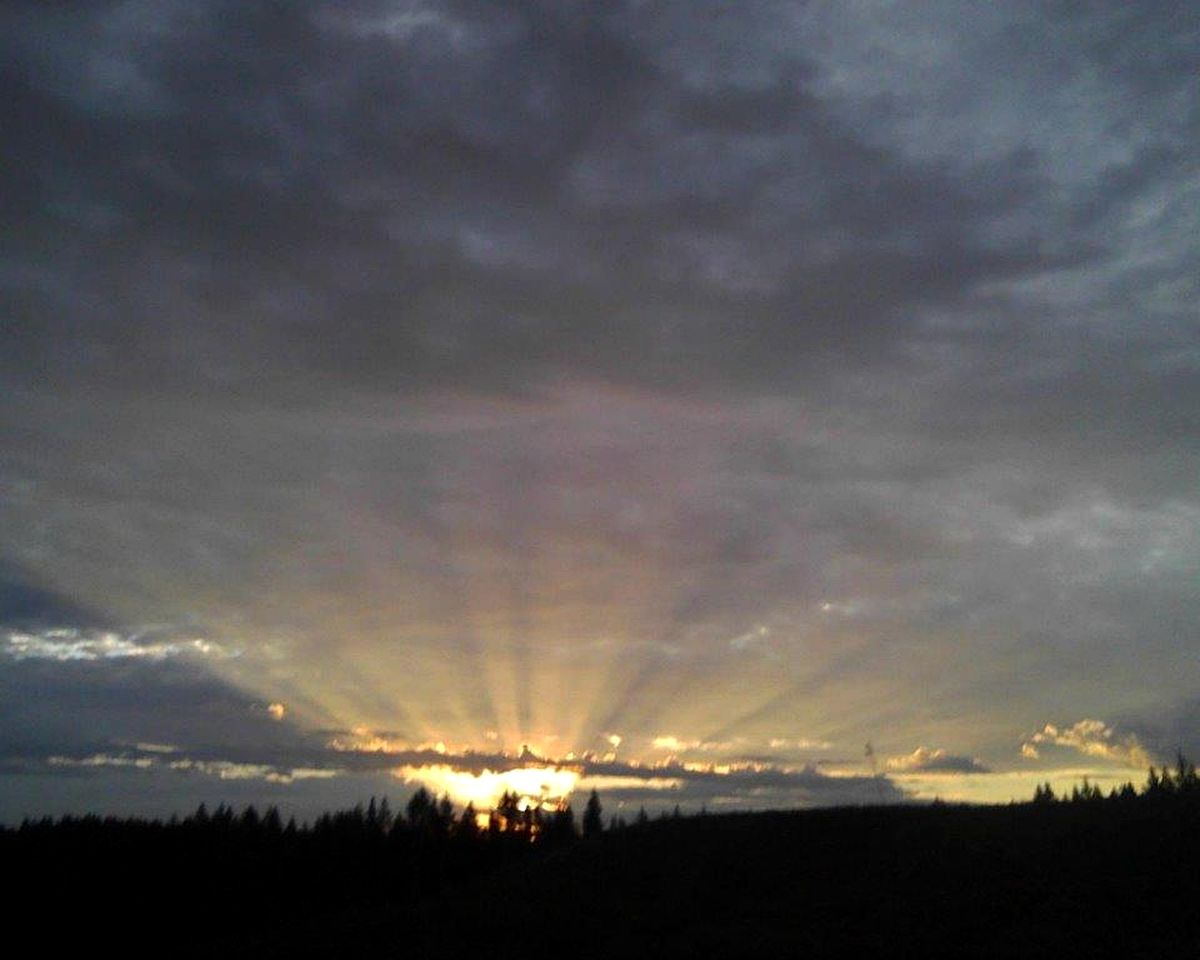 Tree House Style Cabin Nestled at the Foot of Scenic Snow-Capped Mt. Adams, Washington