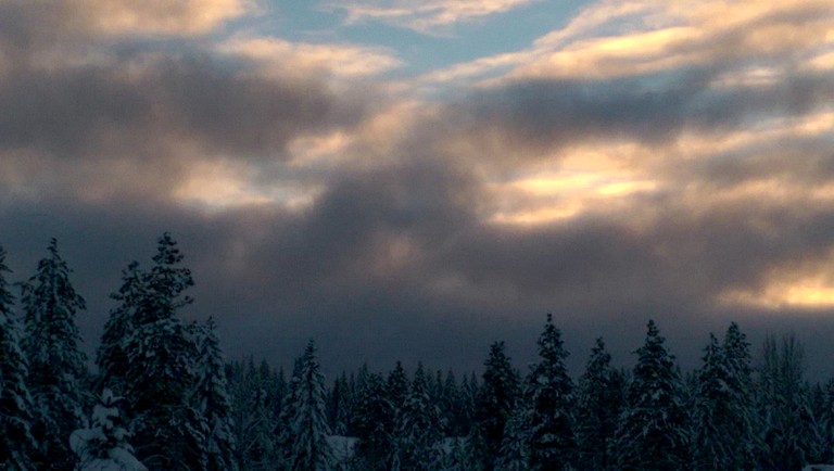 Tree Houses (United States of America, White Salmon, Washington)